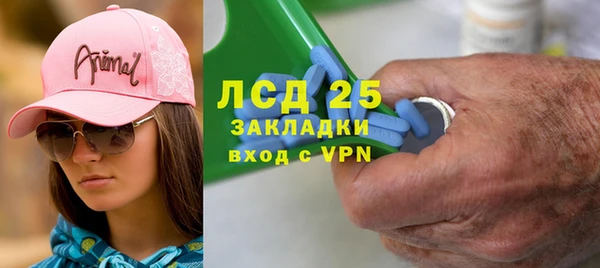 СК Бородино