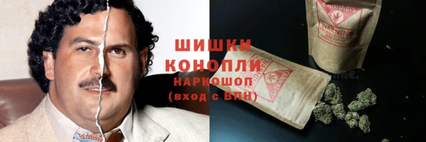 стаф Бугульма