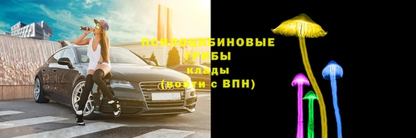 СК Бородино