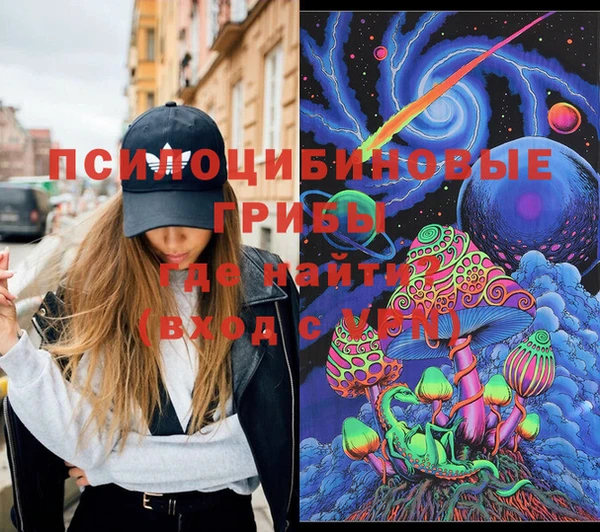 СК Бородино