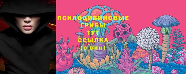 таблы Бронницы